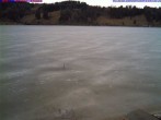 Archiv Foto Webcam Großer Alpsee bei Immenstadt 15:00