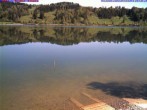 Archived image Webcam Lake &#34;Großer Alpsee&#34; 09:00