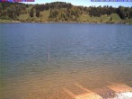 Archiv Foto Webcam Großer Alpsee bei Immenstadt 11:00