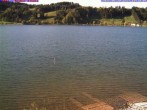 Archiv Foto Webcam Großer Alpsee bei Immenstadt 17:00