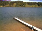 Archiv Foto Webcam Großer Alpsee bei Immenstadt 11:00