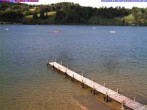 Archiv Foto Webcam Großer Alpsee bei Immenstadt 15:00