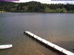 Archiv Foto Webcam Großer Alpsee bei Immenstadt 09:00