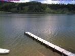 Archiv Foto Webcam Großer Alpsee bei Immenstadt 11:00