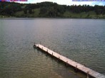 Archiv Foto Webcam Großer Alpsee bei Immenstadt 13:00