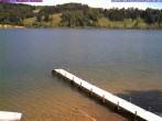 Archiv Foto Webcam Großer Alpsee bei Immenstadt 09:00