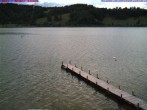 Archiv Foto Webcam Großer Alpsee bei Immenstadt 07:00