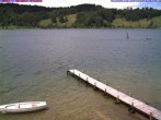 Archiv Foto Webcam Großer Alpsee bei Immenstadt 13:00