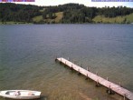 Archiv Foto Webcam Großer Alpsee bei Immenstadt 15:00