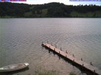 Archiv Foto Webcam Großer Alpsee bei Immenstadt 15:00
