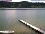 Archiv Foto Webcam Großer Alpsee bei Immenstadt 07:00