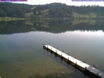 Archiv Foto Webcam Großer Alpsee bei Immenstadt 07:00