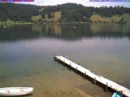 Archiv Foto Webcam Großer Alpsee bei Immenstadt 11:00