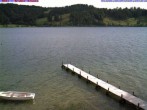 Archiv Foto Webcam Großer Alpsee bei Immenstadt 07:00
