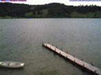 Archiv Foto Webcam Großer Alpsee bei Immenstadt 09:00