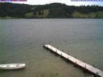 Archiv Foto Webcam Großer Alpsee bei Immenstadt 11:00