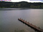 Archiv Foto Webcam Großer Alpsee bei Immenstadt 13:00
