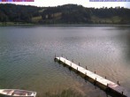 Archiv Foto Webcam Großer Alpsee bei Immenstadt 08:00