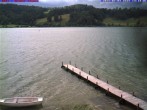 Archiv Foto Webcam Großer Alpsee bei Immenstadt 14:00