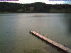 Archiv Foto Webcam Großer Alpsee bei Immenstadt 16:00