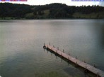 Archiv Foto Webcam Großer Alpsee bei Immenstadt 17:00