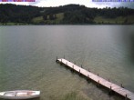 Archiv Foto Webcam Großer Alpsee bei Immenstadt 10:00