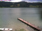 Archiv Foto Webcam Großer Alpsee bei Immenstadt 12:00