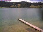 Archiv Foto Webcam Großer Alpsee bei Immenstadt 15:00