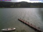 Archiv Foto Webcam Großer Alpsee bei Immenstadt 09:00