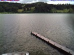 Archiv Foto Webcam Großer Alpsee bei Immenstadt 09:00