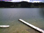 Archiv Foto Webcam Großer Alpsee bei Immenstadt 11:00