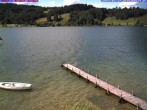 Archiv Foto Webcam Großer Alpsee bei Immenstadt 15:00