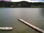 Archiv Foto Webcam Großer Alpsee bei Immenstadt 15:00