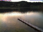 Archiv Foto Webcam Großer Alpsee bei Immenstadt 19:00