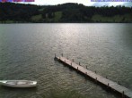 Archiv Foto Webcam Großer Alpsee bei Immenstadt 11:00