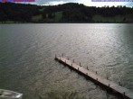 Archiv Foto Webcam Großer Alpsee bei Immenstadt 13:00