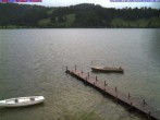 Archiv Foto Webcam Großer Alpsee bei Immenstadt 11:00