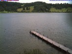 Archiv Foto Webcam Großer Alpsee bei Immenstadt 11:00