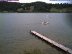Archiv Foto Webcam Großer Alpsee bei Immenstadt 13:00