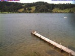 Archiv Foto Webcam Großer Alpsee bei Immenstadt 15:00