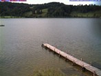 Archiv Foto Webcam Großer Alpsee bei Immenstadt 17:00