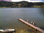 Archiv Foto Webcam Großer Alpsee bei Immenstadt 17:00