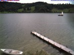 Archiv Foto Webcam Großer Alpsee bei Immenstadt 11:00
