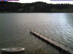 Archiv Foto Webcam Großer Alpsee bei Immenstadt 11:00