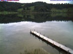 Archiv Foto Webcam Großer Alpsee bei Immenstadt 08:00