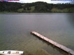 Archiv Foto Webcam Großer Alpsee bei Immenstadt 13:00