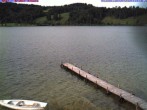 Archiv Foto Webcam Großer Alpsee bei Immenstadt 15:00