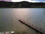 Archiv Foto Webcam Großer Alpsee bei Immenstadt 02:00