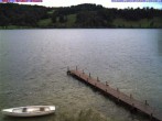 Archiv Foto Webcam Großer Alpsee bei Immenstadt 03:00