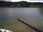 Archiv Foto Webcam Großer Alpsee bei Immenstadt 11:00